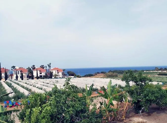 Kapparisvilla * Paralimni